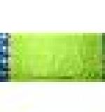 SREE KUMARAN Women's Kanchipuram Silk Pure Pattu Sarees With Blouse