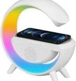 WIRELESS GOOGLE SPEAKER (HEAVY)