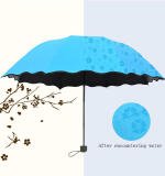 Changing Secret Blossoms With Water Magic Print Z