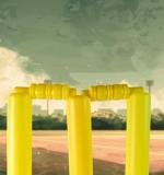 Big Cricket Kit Cricket Set With 1 Cricket Bat 1 Rubber Ball Bails 3 Stumps With Stand Base