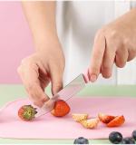Mini Travel Cutting Board Set 4 Pcs Portable Mini Camping Plastic Cutting Board Knife Fruits Vegetable Peeler Scissors Kitchen Knives Set For Travel Picnic Camping Outdoor Park (4 Pc Set)