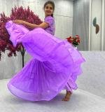 Fox Georgette Gown