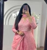Pink Chinon Sequence Work Lehenga