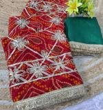 Star Gota Work Saree