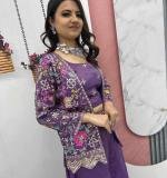 Wine Pure Tissue Simmer Party Wear Dress