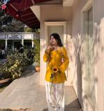 New Elegant Ethnic Wear Dress