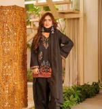 Beautiful Elegant Ethnic Wear Dress