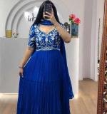 Blue Fox Georgette Embroidered Gown
