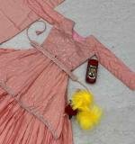 Pink Chinon Sequence Work Lehenga