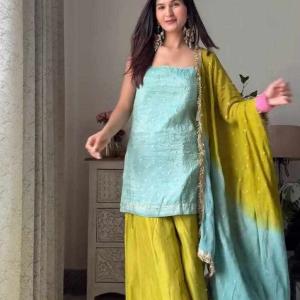 Premium Elegance Beautiful Dress