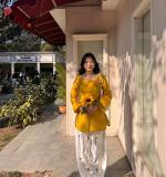 New Elegant Ethnic Wear Dress
