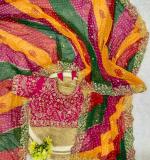 PIYU P1100 MULTI MANGO SAREE