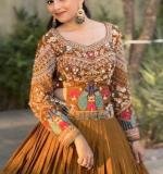 New Beautiful Occasional Wear Lehenga