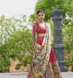 Kalamkari Lehenga