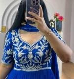 Blue Fox Georgette Embroidered Gown