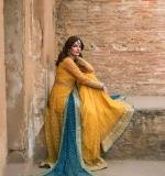 Premium Elegance Designer Dress