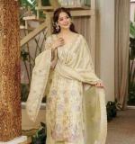 Beautiful Premium Design Dress