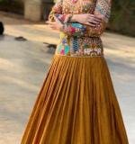 New Beautiful Occasional Wear Lehenga