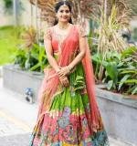 Beautiful Kalamkari Lehenga
