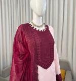 New Beautiful Ethnic Wear Dress