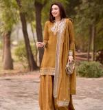 New Beautiful Party Wear Dress