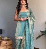 Beautiful Premium Elegance Party Wear Dress