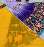 Kalamkari Lehenga
