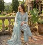 Elegant Ethnic Wear Dress