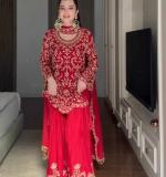 Premium Elegant Ethnic Wear Dress