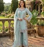 Elegant Ethnic Wear Dress