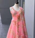 Beautiful Modern Embroidery Party Wear Lahenga