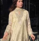 New Designer Party Wear Dress