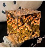 Cube Tulip Lamp (Multicolor)